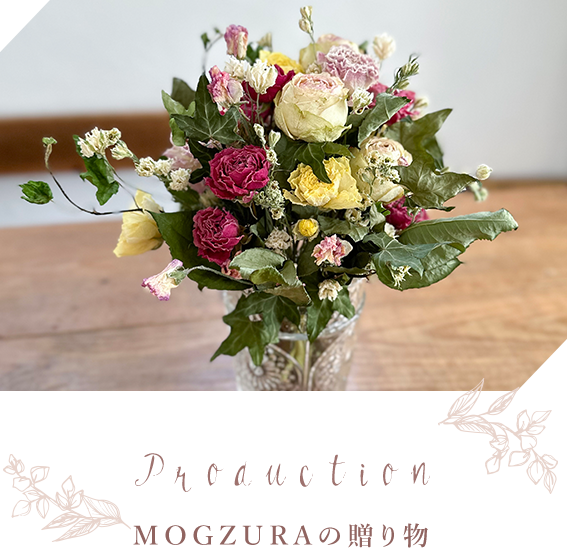 MOGZURAの贈り物